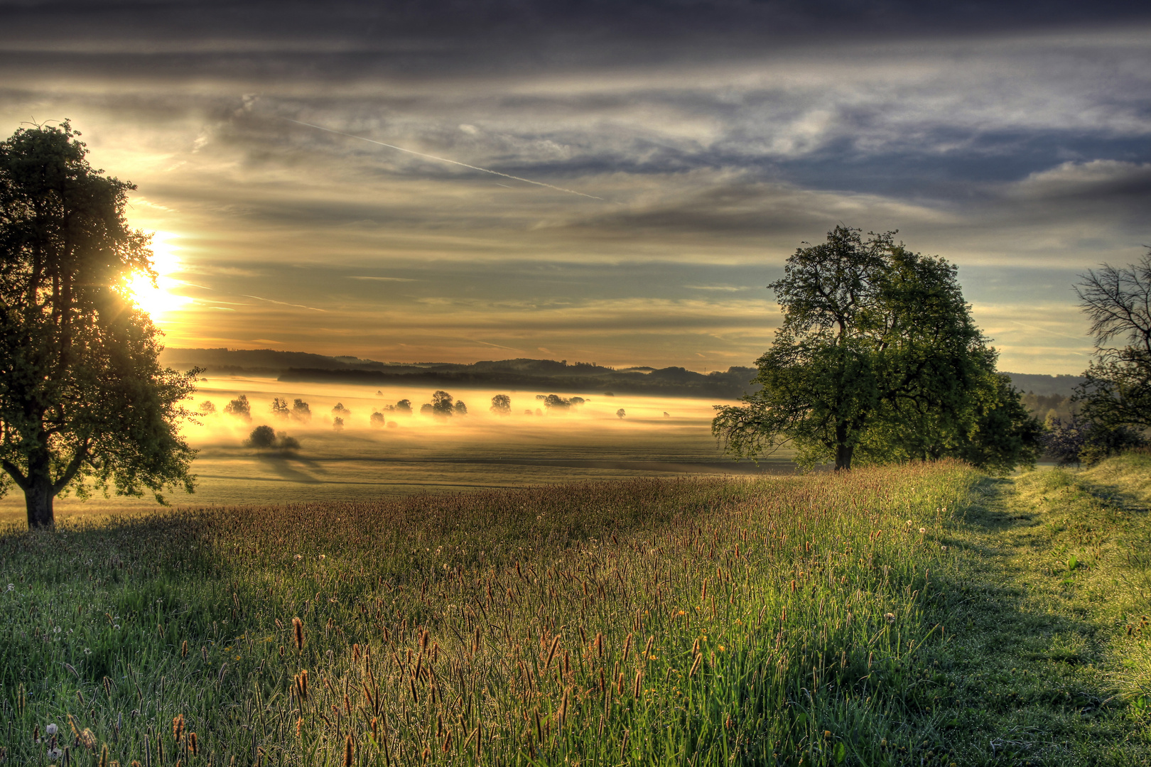 Morgennebel über Hohenlohe