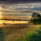 Morgennebel über Hohenlohe