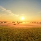 Morgennebel über Insel Rügen