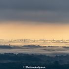 Morgennebel über Kiel