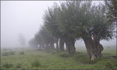 Morgennebel über Middelhagen