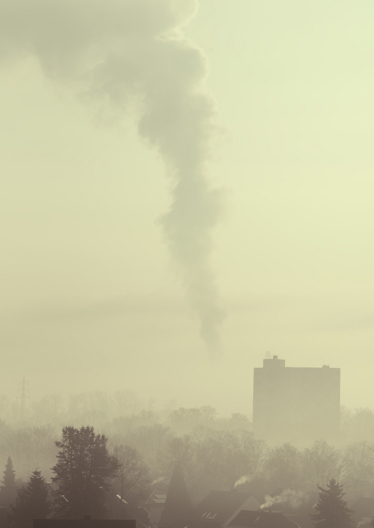 Morgennebel über Neuss