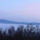 Morgennebel über Saalfeld