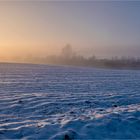 Morgennebel über Vorpommern... 