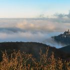 Morgennebel über Wernigerode