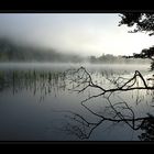 Morgennebel überm See