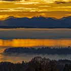 Morgennebel überm Starnberger See