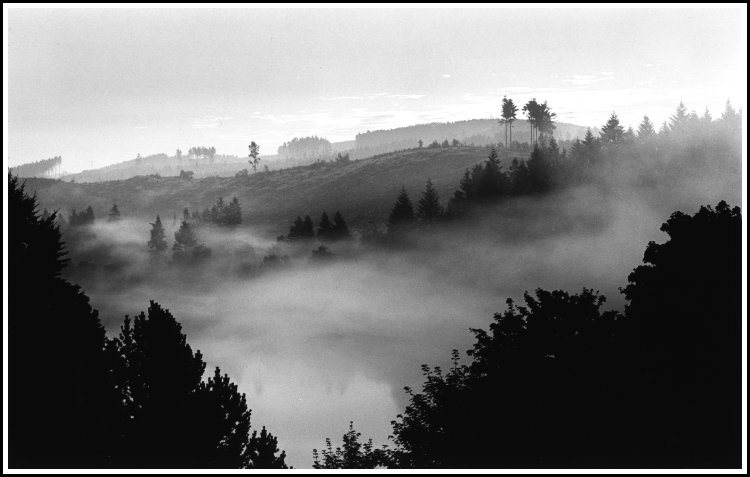 Morgennebel überm Weiher im Sauerland