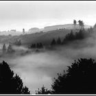 Morgennebel überm Weiher im Sauerland