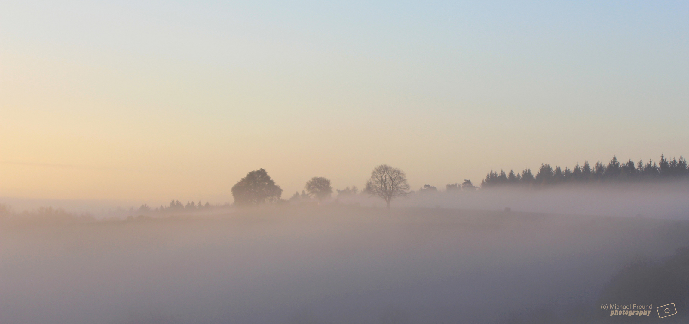 Morgennebel um Neukirchen