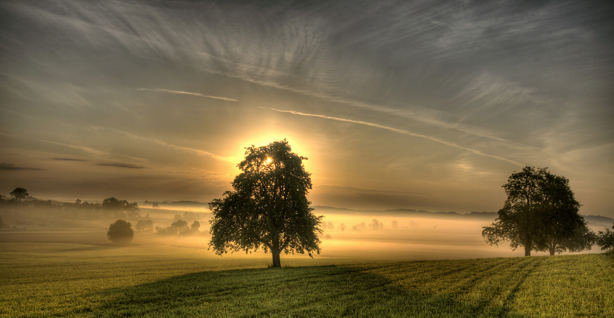 Morgennebel und Kondensstreifen