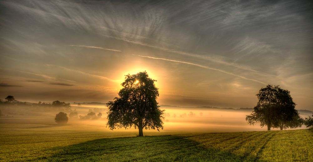 Morgennebel und Kondensstreifen