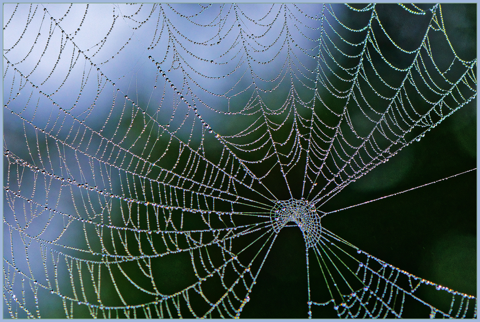 Morgennebel und Sonnenaufgang