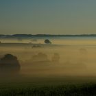 Morgennebel wie im Herbst