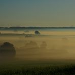 Morgennebel wie im Herbst