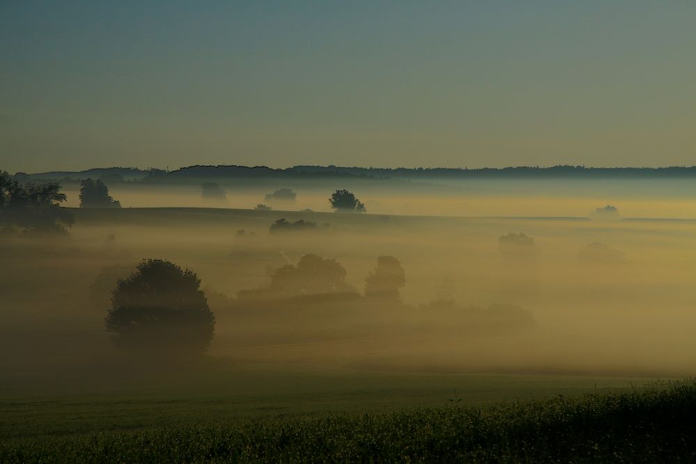 Morgennebel wie im Herbst