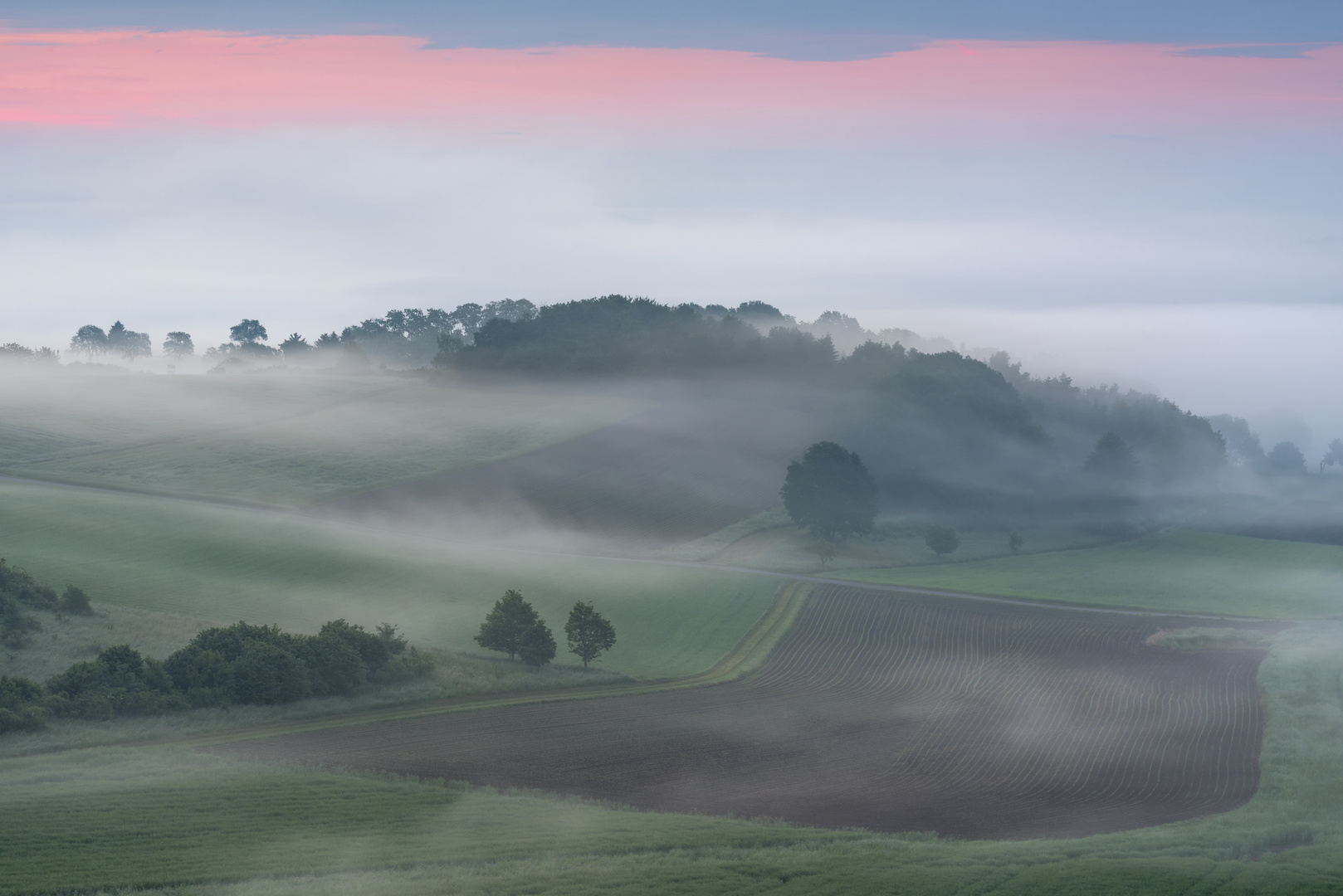 *Morgennebel-Zauber*