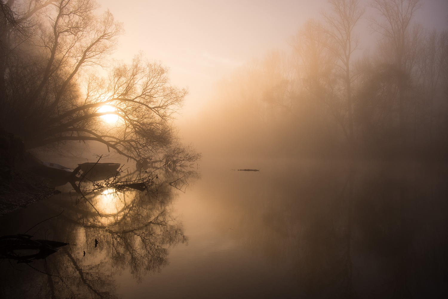 Morgennebel zur Goldenen Stunde