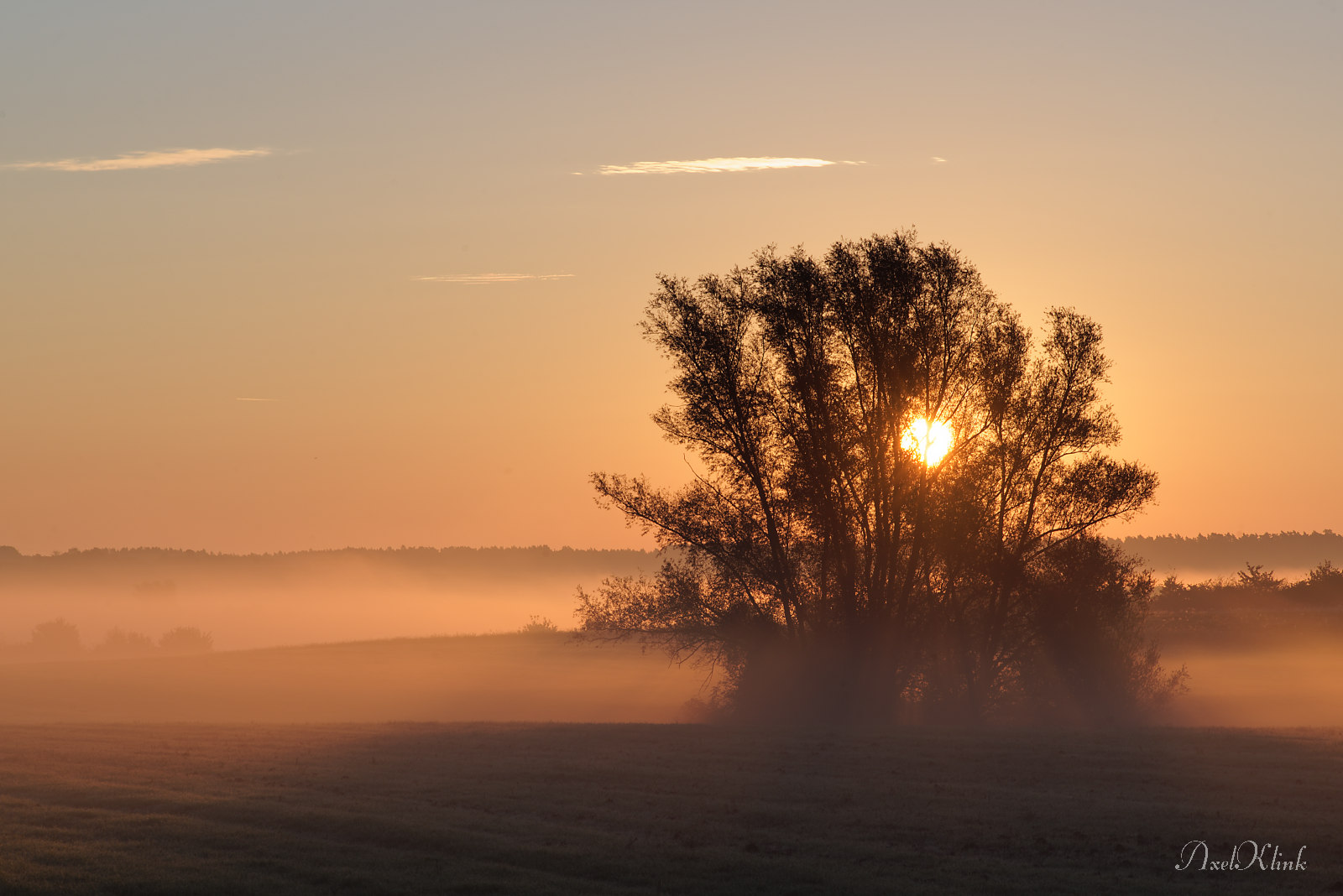 Morgennebel1