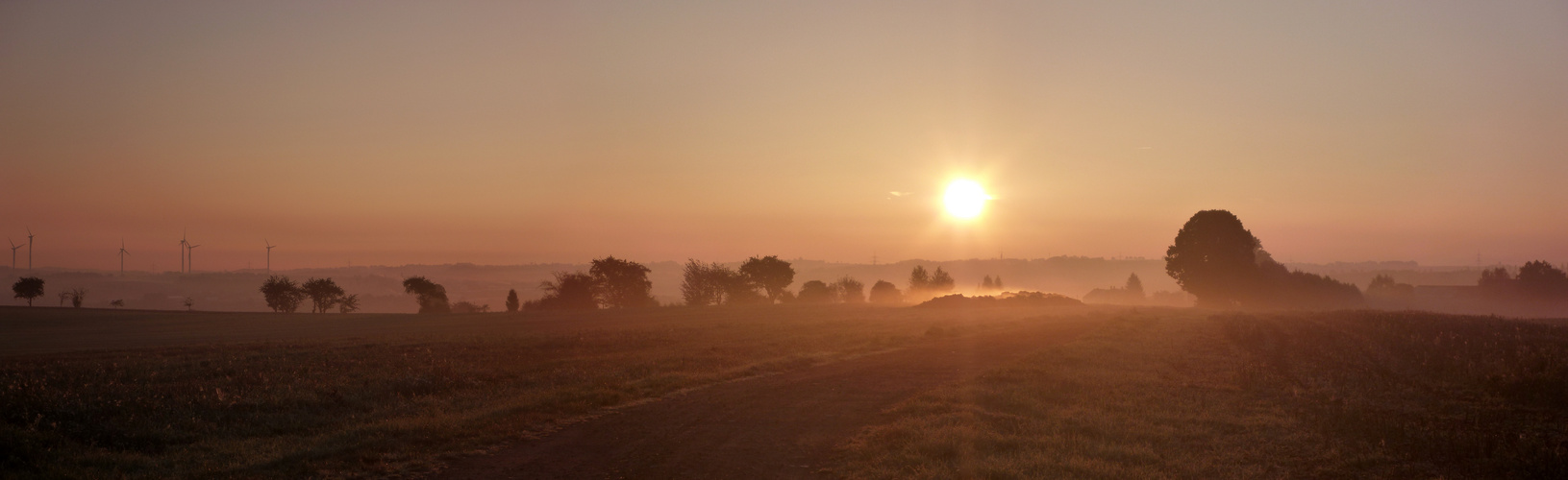 Morgennebel1