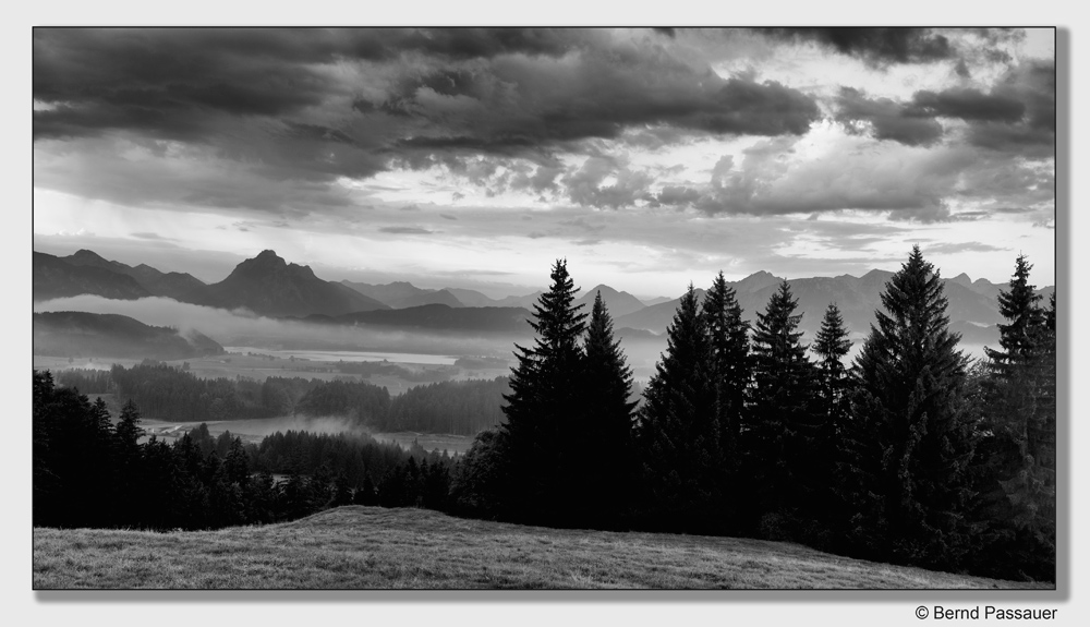 Morgennebel_1