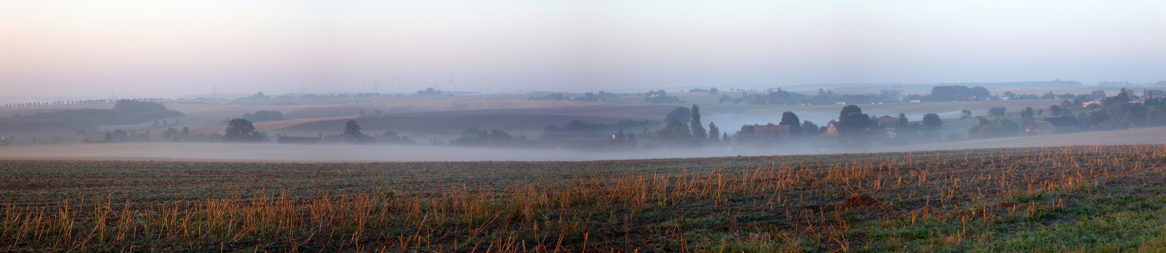 Morgennebel2