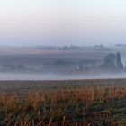 Morgennebel2