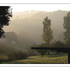 Morgennebel.3