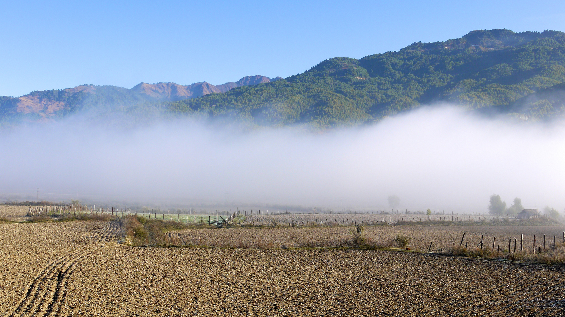 Morgennebel_Bhumtangtal