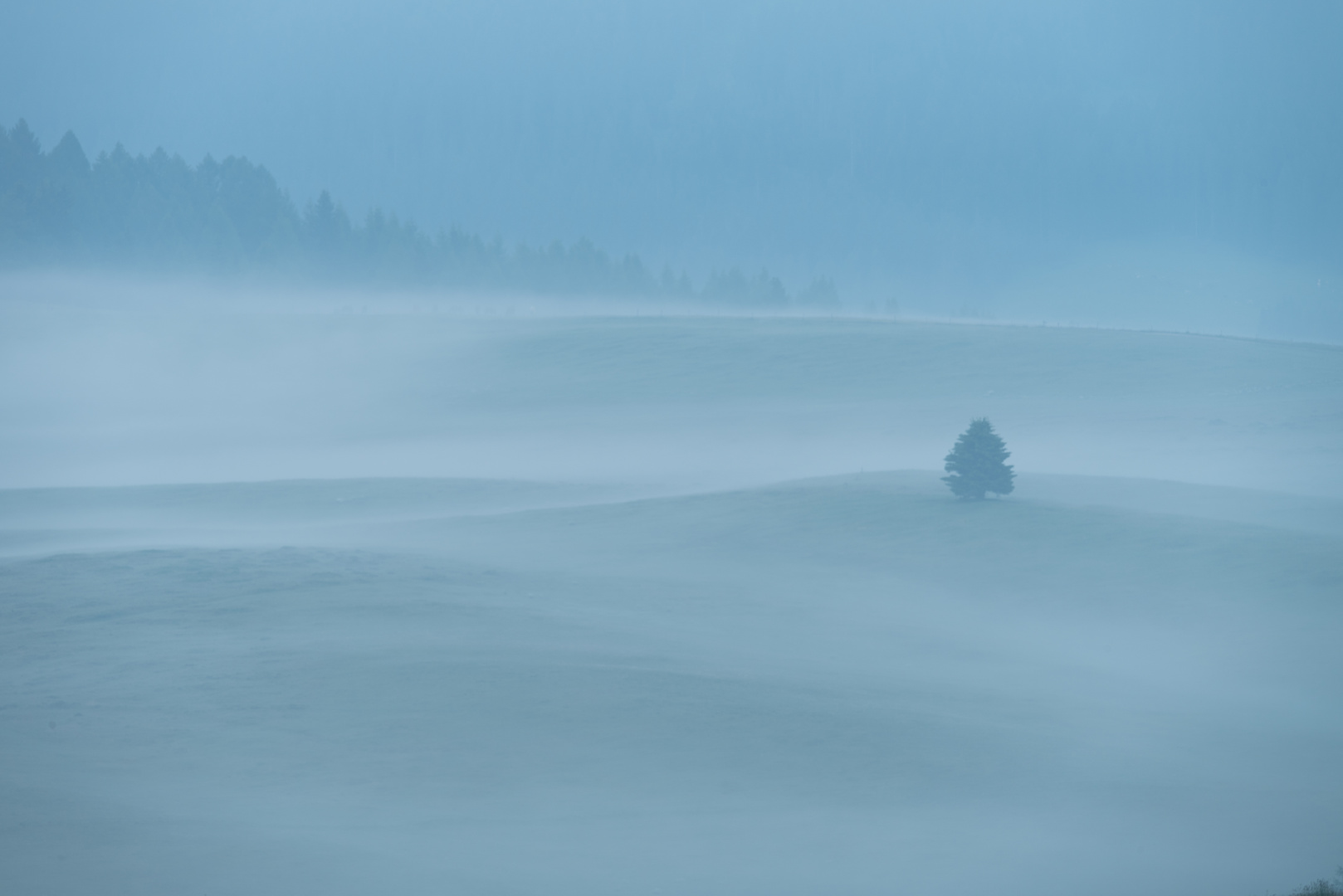 Morgennebel/Nebbia mattutina