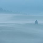 Morgennebel/Nebbia mattutina