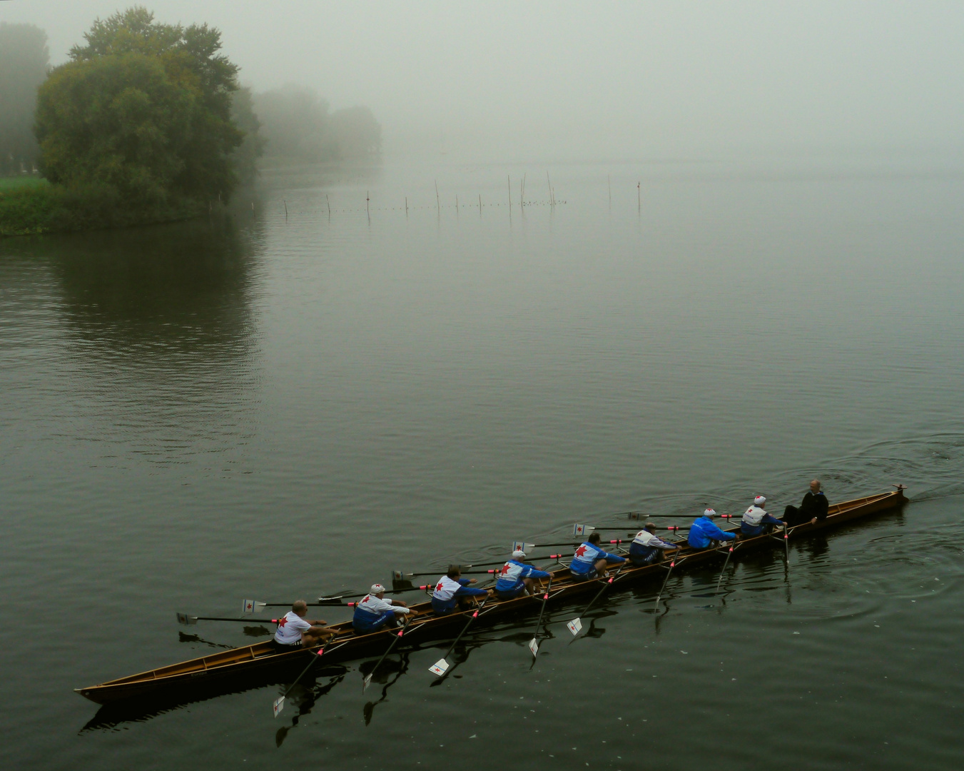 Morgennebelsport