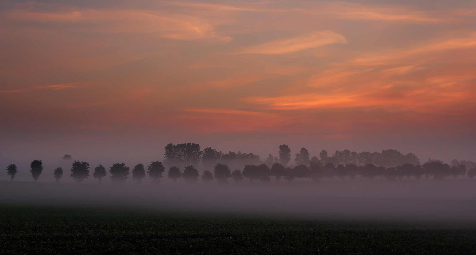 Morgennebelstimmung