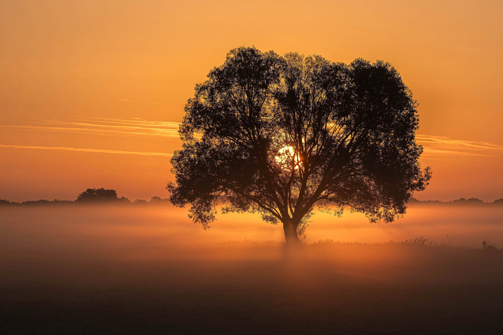 Morgennebelzauber