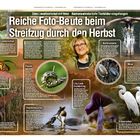 Morgenpost, Streifzug durch den Herbst, Sonja Haase