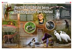 Morgenpost, Streifzug durch den Herbst, Sonja Haase