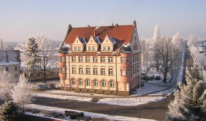 Morgenreif in Leipzig-Engelsdorf