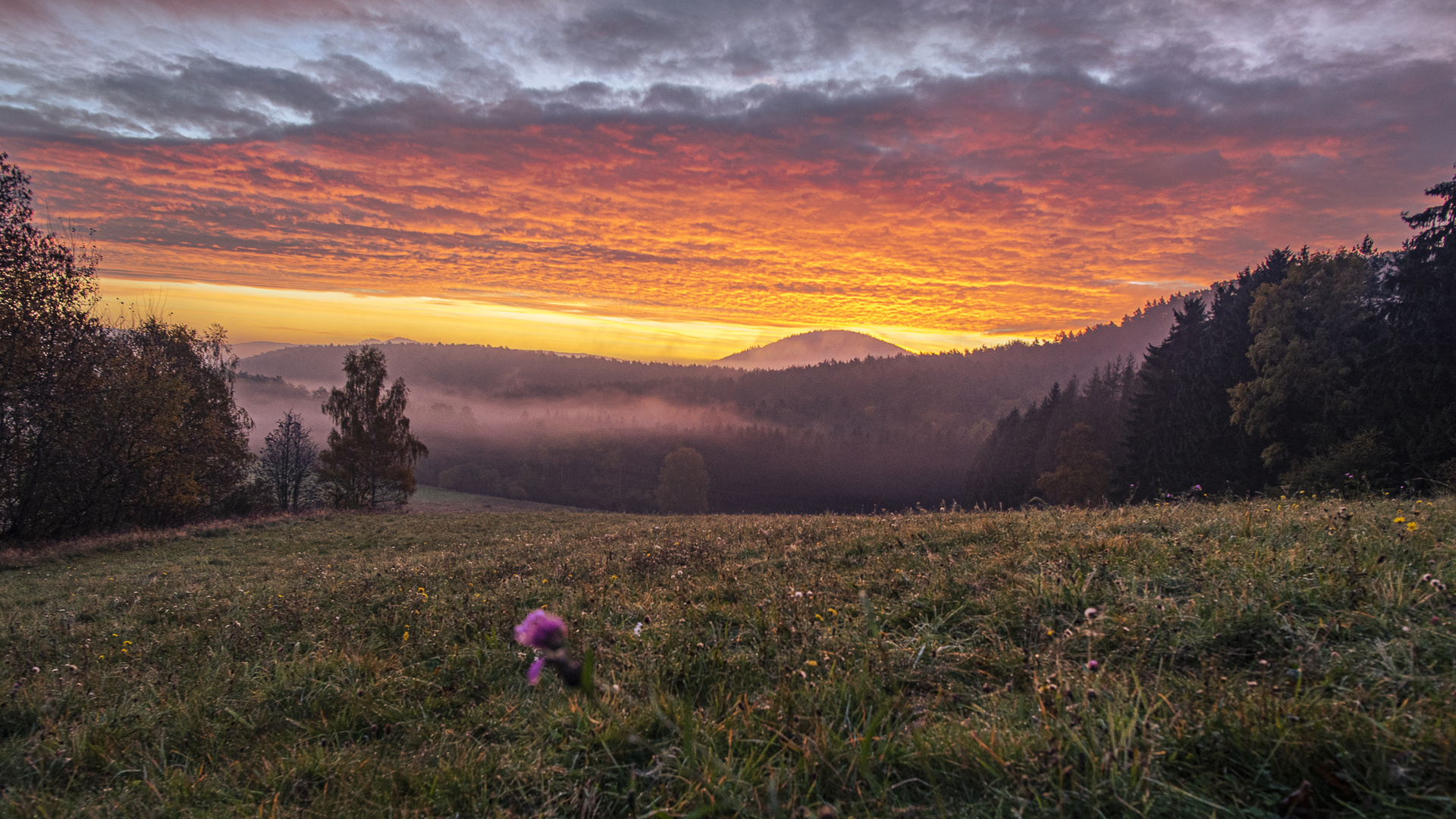 Morgenröte