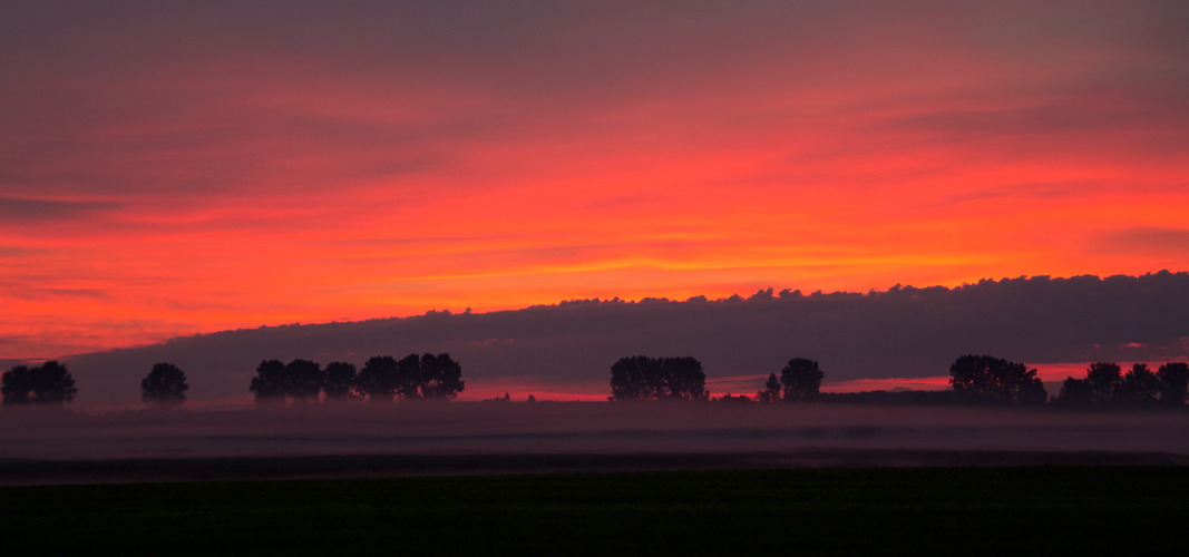 Morgenröte