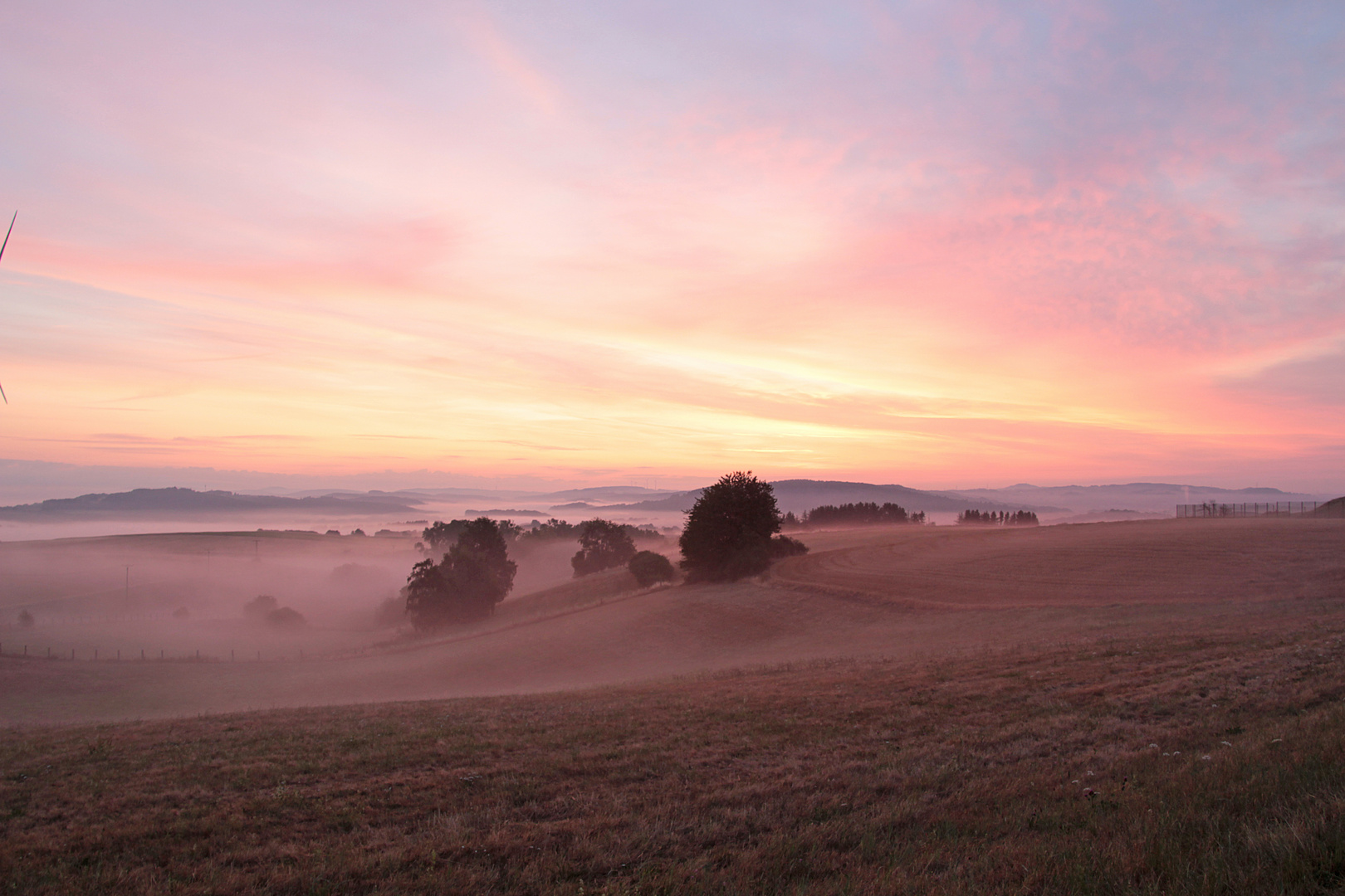 Morgenröte