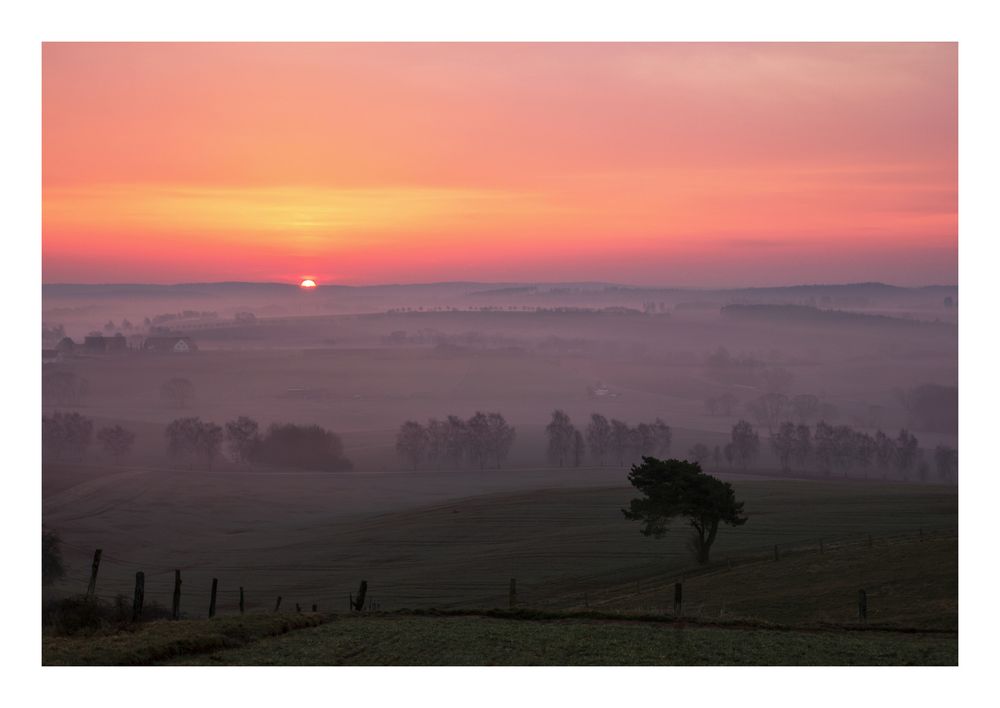 Morgenröte