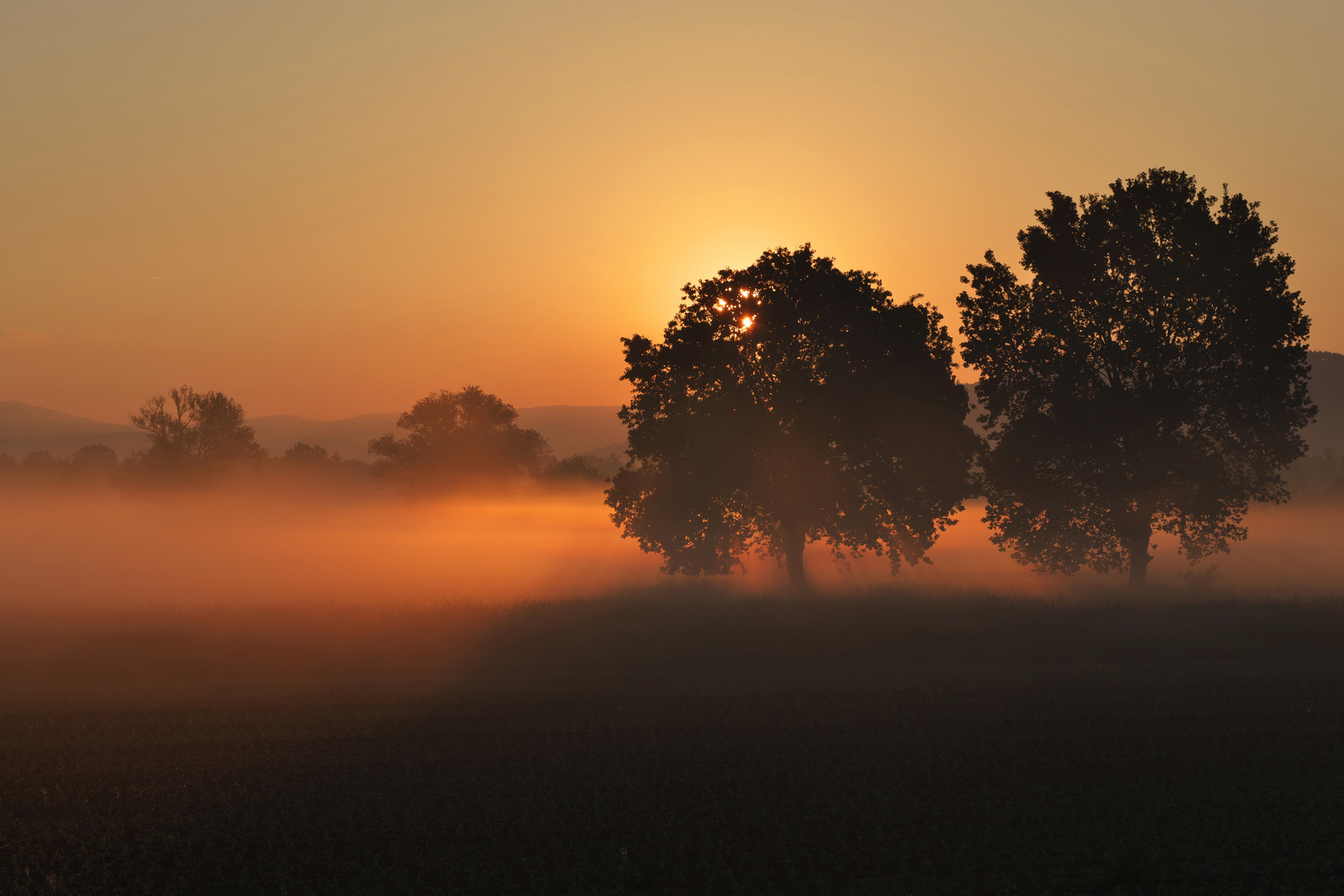 Morgenröte