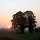 Morgenröte am Feldrain