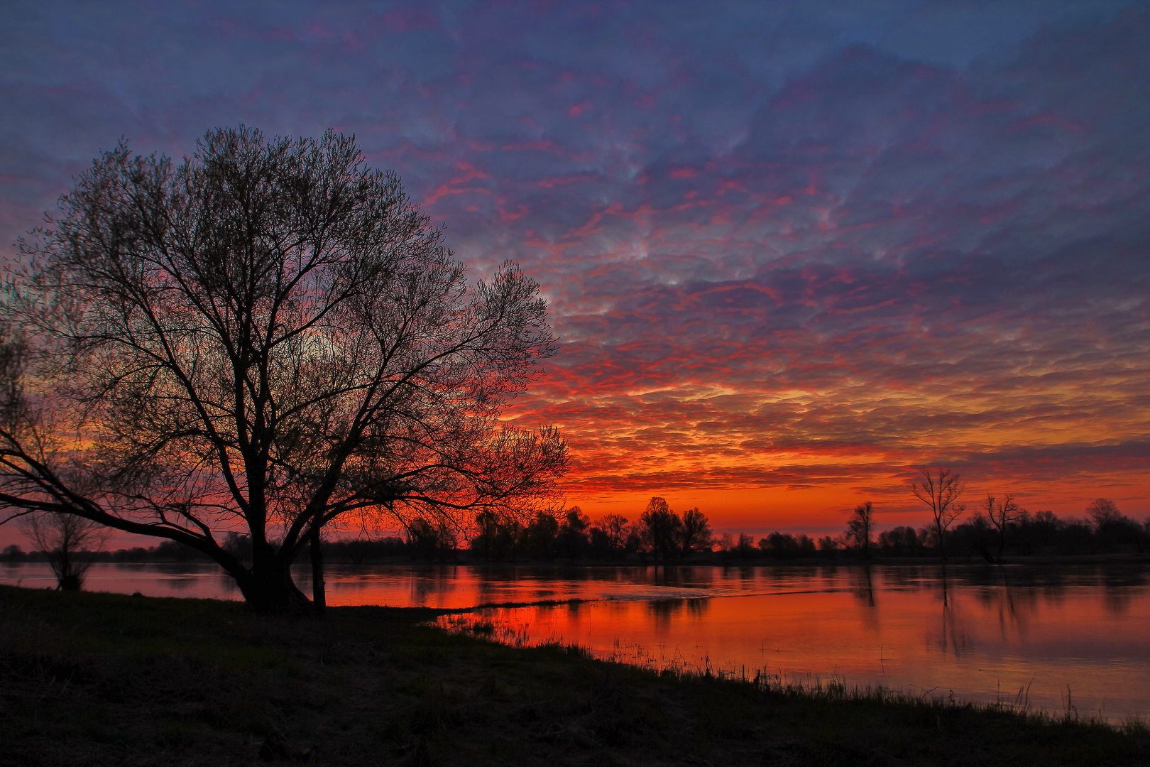 Morgenröte am Fluss