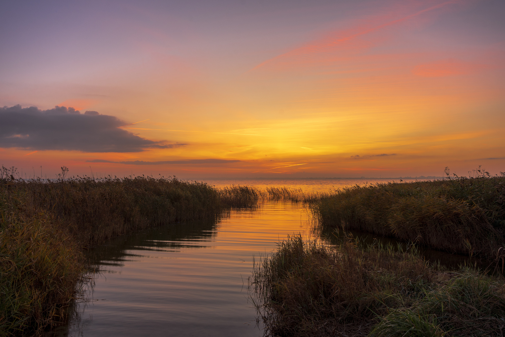  Morgenröte am Saaler Bodden