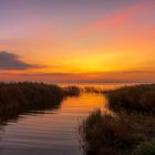  Morgenröte am Saaler Bodden