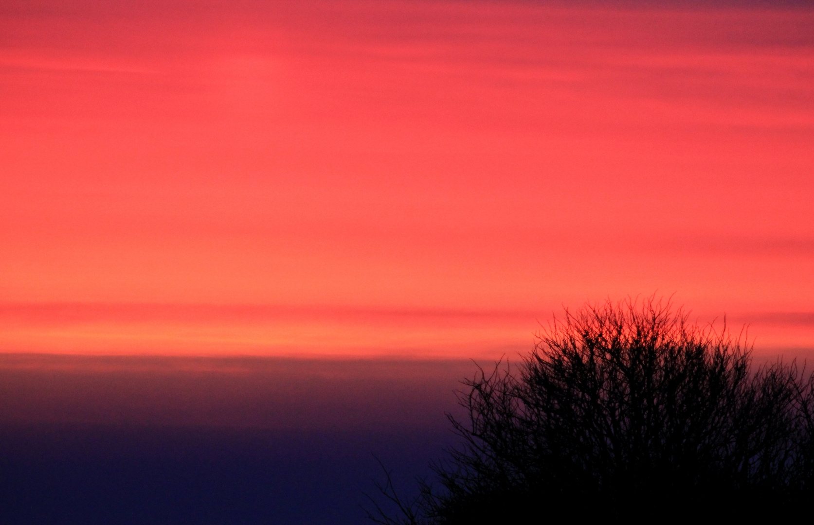 Morgenröte auf Amrum