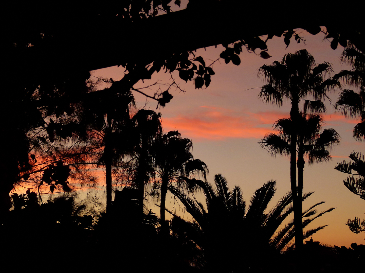 Morgenröte auf Gran Canaria