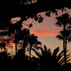 Morgenröte auf Gran Canaria