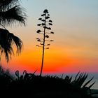 Morgenröte auf Sardinien